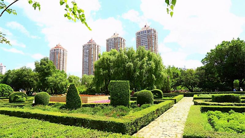 成都开业庆典绿植租赁：如何打造绿色氛围**