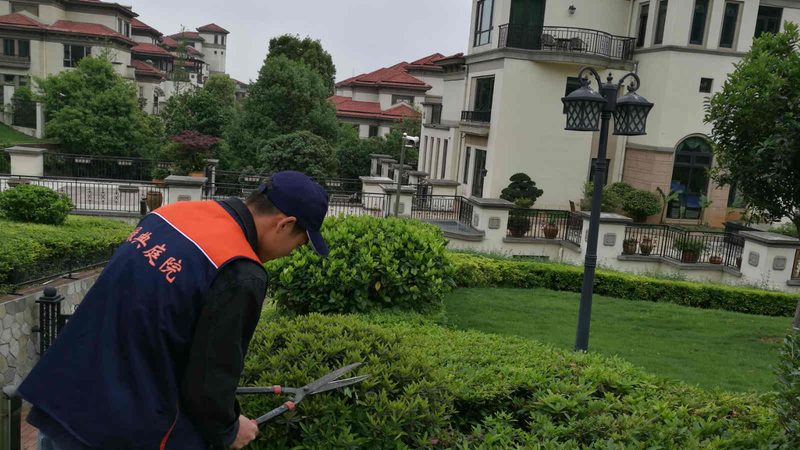 园林绿化公司排名背后的考量因素