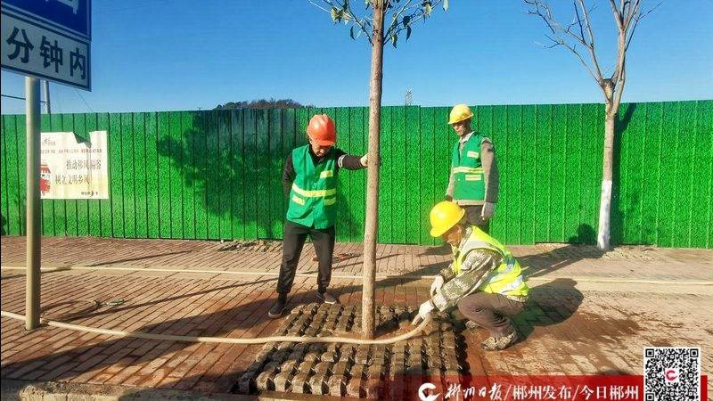 高尔夫球场绿化养护设备：如何科学选择与维护**