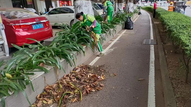 写字楼绿植租摆哪家好