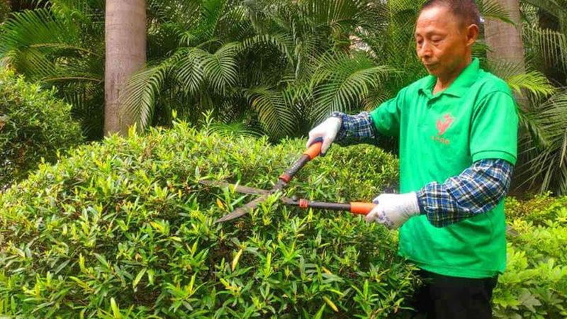 小区道路绿化效果图，如何精准估算成本？**