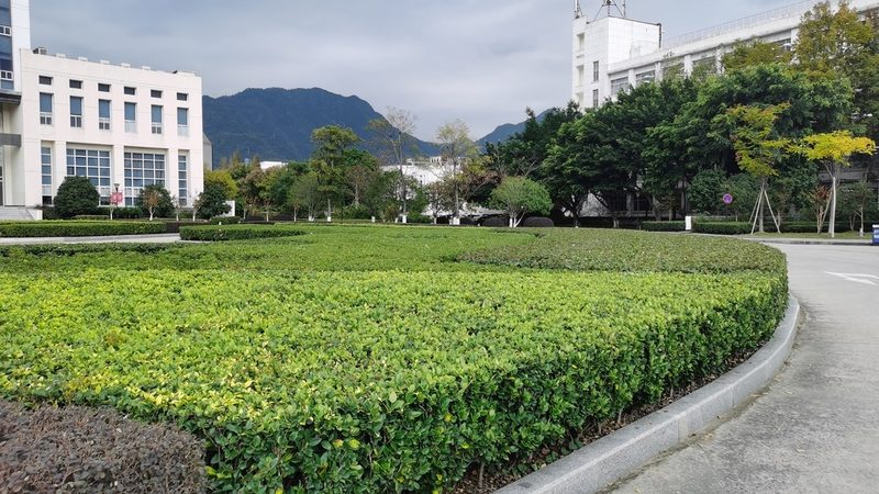 园林绿化资质转让：价格之外，你该关注的点**