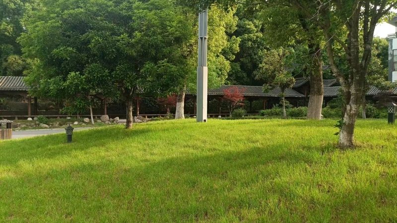 灌木间距如何控制？病虫害防治技巧揭秘